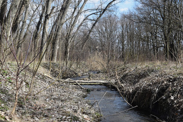 Autumn landscape with a pond in the steppe.