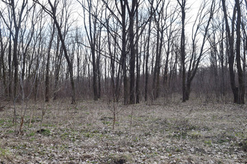 Autumn landscape with a pond in the steppe.