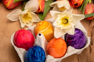 Bunte Blumen Tulpen und Narzissen sowie gefärbte Ostereier auf einem Holzbrett