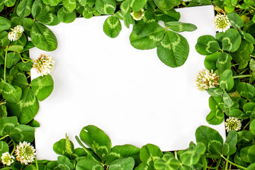 Blank sign with shamrocks decorations. St. Patrick`s day frame border clover leaves. Natural green background border with fresh three-leaved shamrocks and white background with free space for text. To