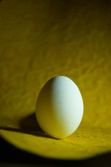 India - March 21, 1019: white egg on yellow wooden background 