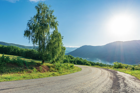 road though countryside in mountains. trees along the way. wonderful sunny morning