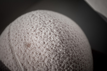 Frozen oranges and lemons on a red plate, covered in frost