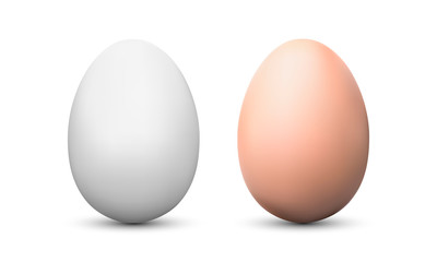 Chicken eggs white and brown mockups isolated. Vector illustration