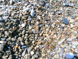 pebbles on the beach