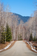 Vanishing Snow - Wilderness Access Road