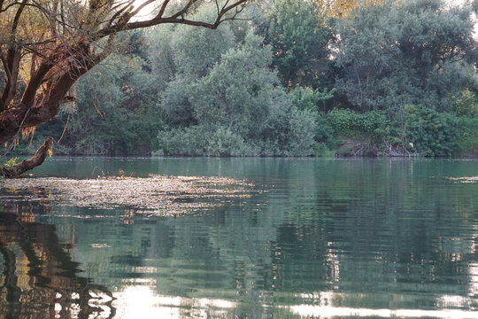 Lac 