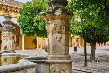 Fototapeta na wymiar The Courtyard near of Mosque of Cordoba, Spain