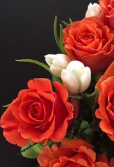 Fototapeta premium Roses and Tulips