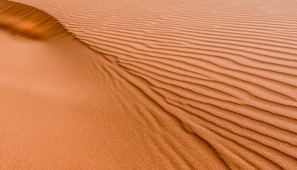 Fototapeta na wymiar Sand Dune in Sahara