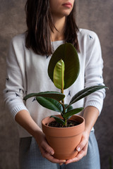 Woman holding ficus plant