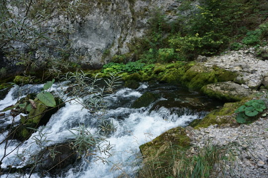 cascade
