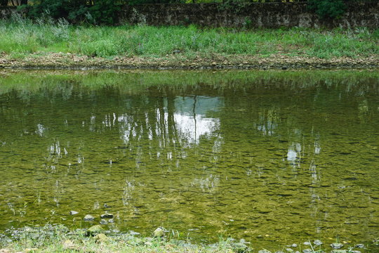 rivi&egrave;re
