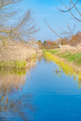 Blue sky over a little creek at a sunny spring day in the surrounding countryside of Berlin, Germany. On the right bank you can see the young shoots of the reeds in the water.