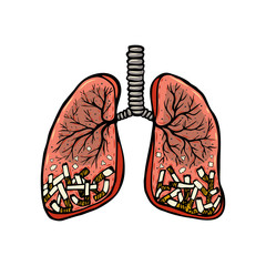 Hand drawn cigarettes in human lungs. Unhealthy habit smoking concept. Color sketched vector illustration