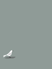 Bird on grey background
