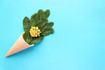 Green mint on a summer background