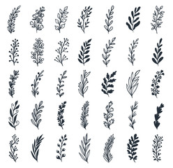 Floral set of hand drawn botanic  elements. Branches, leaves, flowers. Perfect for invitations, greeting cards design, fabric etc. Vector illustration