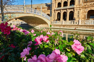 Obraz premium Flowers at Spain Square, Seville, Spain