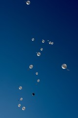 pantone classic blue color of the year 2020 a set of  silver  and black balloons with wish cards...