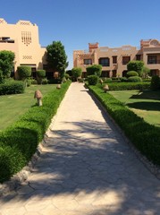 Obraz premium garden