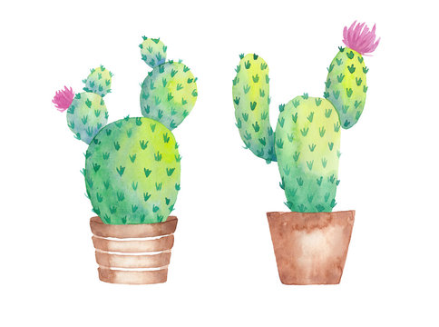 Set of watercolor handpainted succulent cactus plant in pot