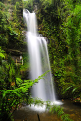 Obraz premium paisajes verdes colombia