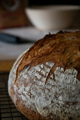 Close-up of fresh bread with baking equipment