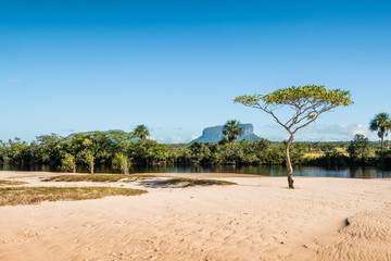 Fototapeta na wymiar Mayupa island beach. Canaima National Park, Venezuela