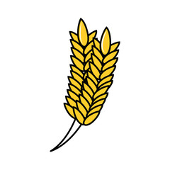 spike rice isolated icon