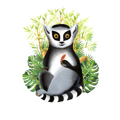 Lemur with tropical leaves hand painted  in watercolor on a white background.