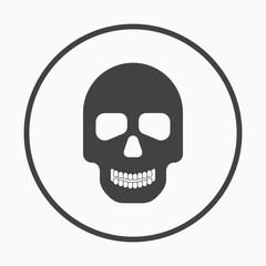 Skull monochrome icon. Vector illustration.