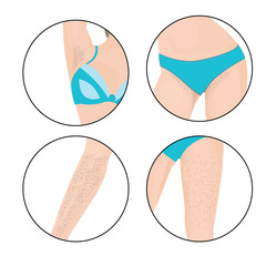 Hair removal zones vector illustration