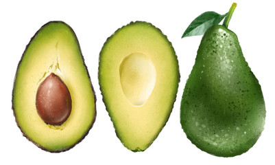 Realistic digital avocado illustration - 258598949