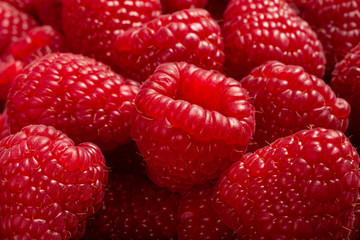 red background food fresh raspberry