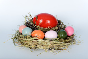 The nest with big ostrich and green, yellow, pink chicken easter eggs
