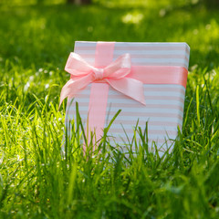 gift on green grass with a pink bow