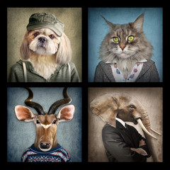 Animals in clothes on vintage style. People with heads of animals. Concept graphic, photo manipulation for cover, advertising, prints on clothing and other. - 258601310