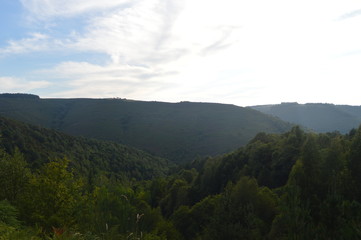 Large Galician Forests Full Of Pines And Eucalyptus In The Mountains Near Navia De Suarna. Nature, Architecture, History, Street Photography. August 23, 2014. Navia De Suarna, Lugo, Galicia, Spain.