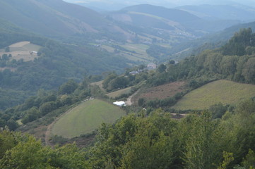 Obraz premium Large Galician Forests Full Of Pines And Eucalyptus In The Mountains Near Navia De Suarna. Nature, Architecture, History, Street Photography. August 23, 2014. Navia De Suarna, Lugo, Galicia, Spain.
