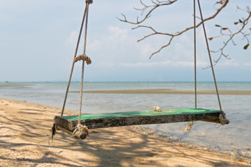 Sea shells on the beach swing on a blurred background of the sea