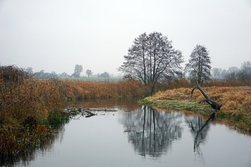 Fototapeta na wymiar Foggy autumn morning in the Brest region. River, background