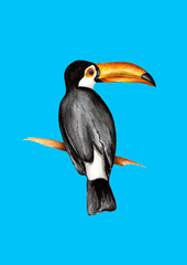 Hand drawn watercolor tropical summer plants birds fruits illustration colourful 