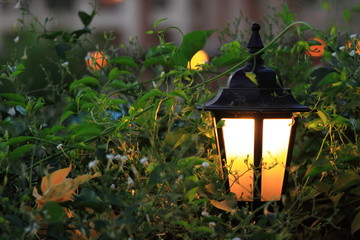 Lampion © kruffka