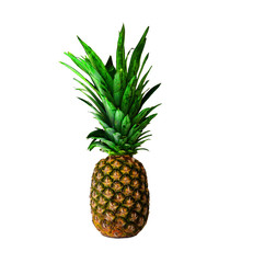 Fototapeta premium Pinna fruit on a white background