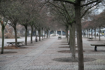 alley in the park