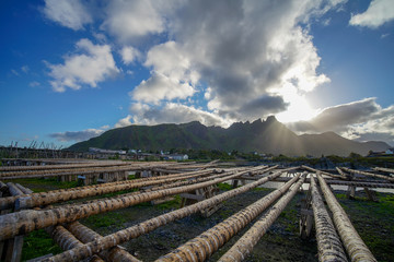 Ballstad, Norway - June 28, 2018: Wooden structure at Lofoten for drying fish