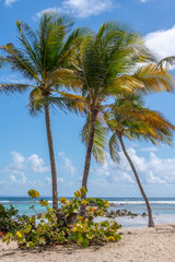 PLAGE DE LA CARAVELLE GUADELOUPE