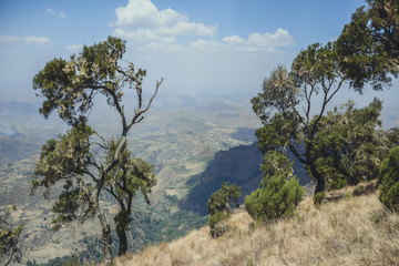 Landscape in Simien mountain