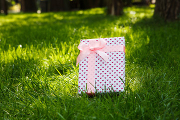 gift on green grass with a pink bow
